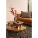 Tenderflame Gift Set, 2 Tabletop burners + 0,5 L fuel, Lilly 8 cm Gold
