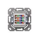 Digitus CAT 6A Class EA network outlet,shielded,2xRJ45,LSA pure white, flush mount, horizontal cable install.