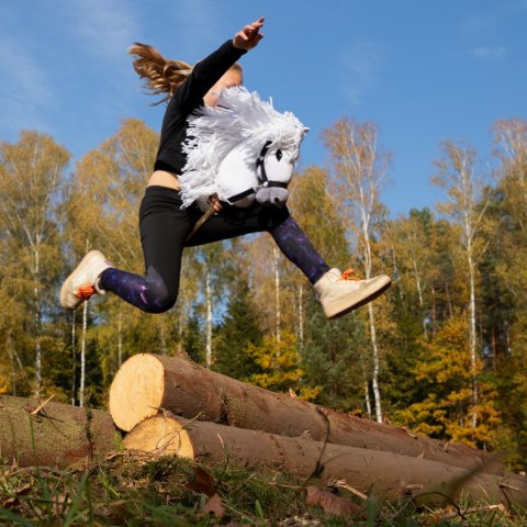 Szary konik hobby horse duży A3 kantar myszaty HH Szary konik hobby horse duży A3 kantar myszaty HH